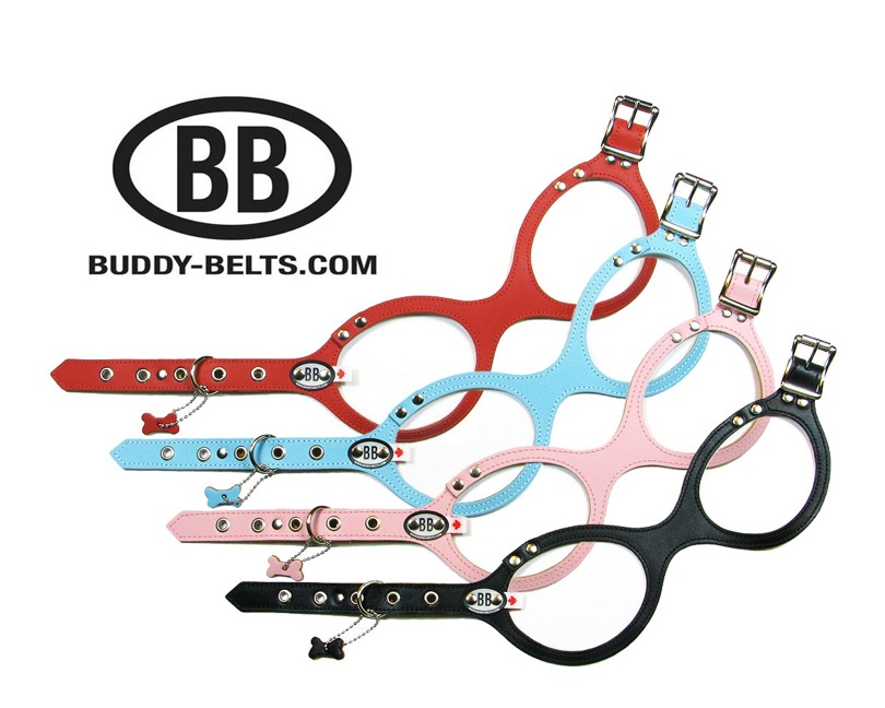 Buddy Belt Dog Harness