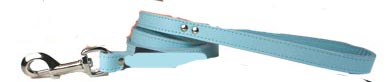 Leather Leads