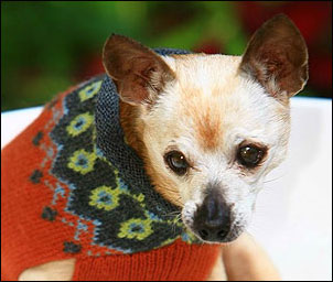 Rolled Neck Fairisle Jumpers